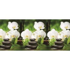 КУХОННЫЙ фартук АБС Орхидея белая (600*3000*1,5мм) Европа