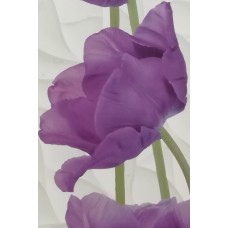 ПАНЕЛИ  ПВХ Цветочная Иней Тюльпаны (0,25*2,7м) 